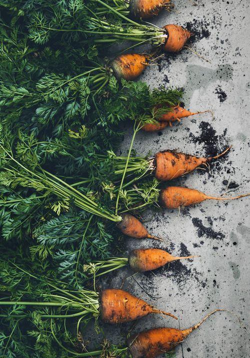 Sustainable Eden Organic Produce Sampler